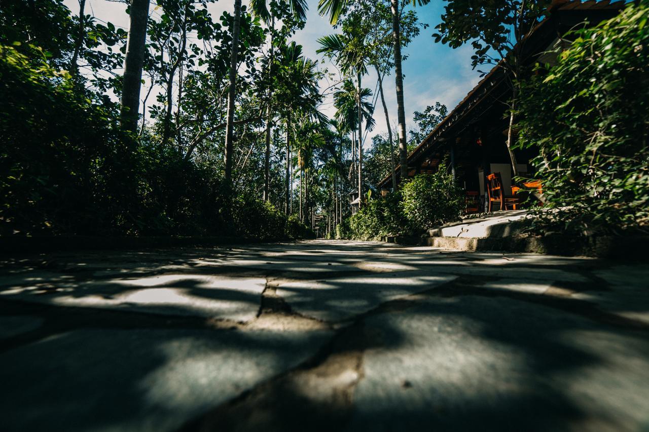 Thuy Bieu Homestay Hue Zimmer foto